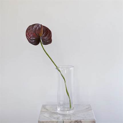 Specktrum Artificial Flowers Anthurium - Burgundy 