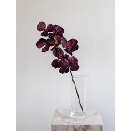 Specktrum Artificial Flowers Orchid (7 heads) - Burgundy