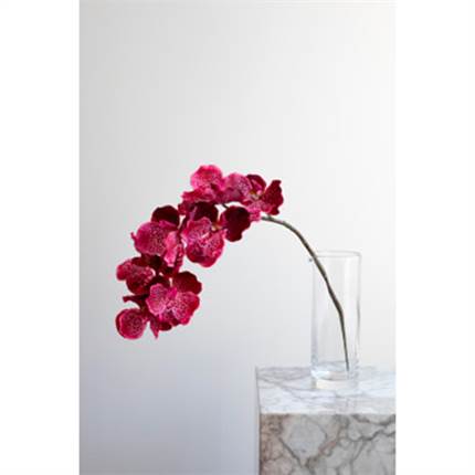 Specktrum Artificial Flowers Orchid (7 heads) - Plum