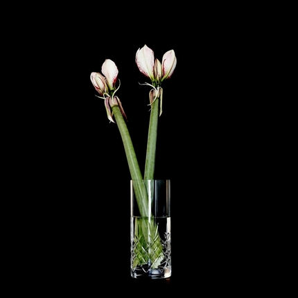 Frederik Bagger Crispy Glass Love 1 vase - 850 ml 