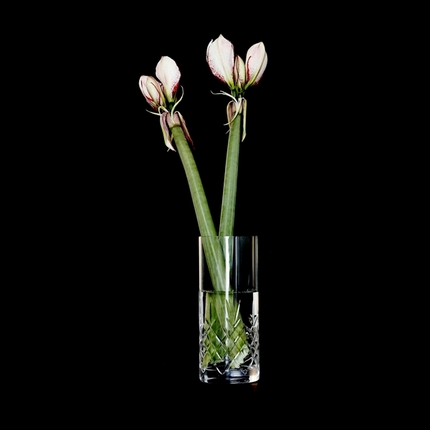 Frederik Bagger Crispy Glass Love 3 vase - 2200 ml