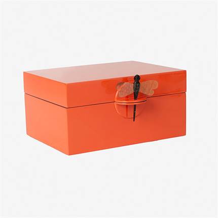 Oi Soi Oi Lakkasse XL - Orange 
