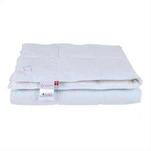 Ringsted dun, Breeze lun, miljo