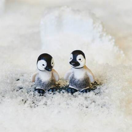 Klarborg Babypingviner Pingo & Pjevs