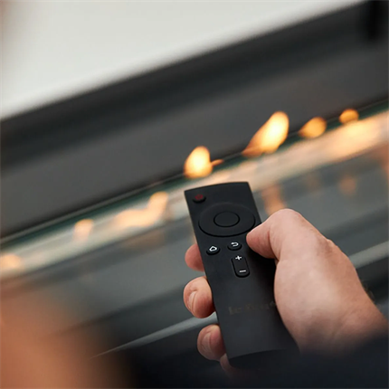 Det er muligt at styre Clever biopejsen med en fjernbetjening