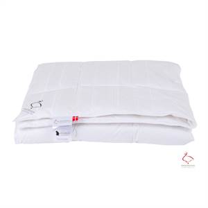 Ringsted dyne, Den lille pige med svovlstikkerne