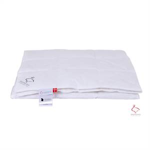 Ringsted dyne, Klodshans ekstra sval